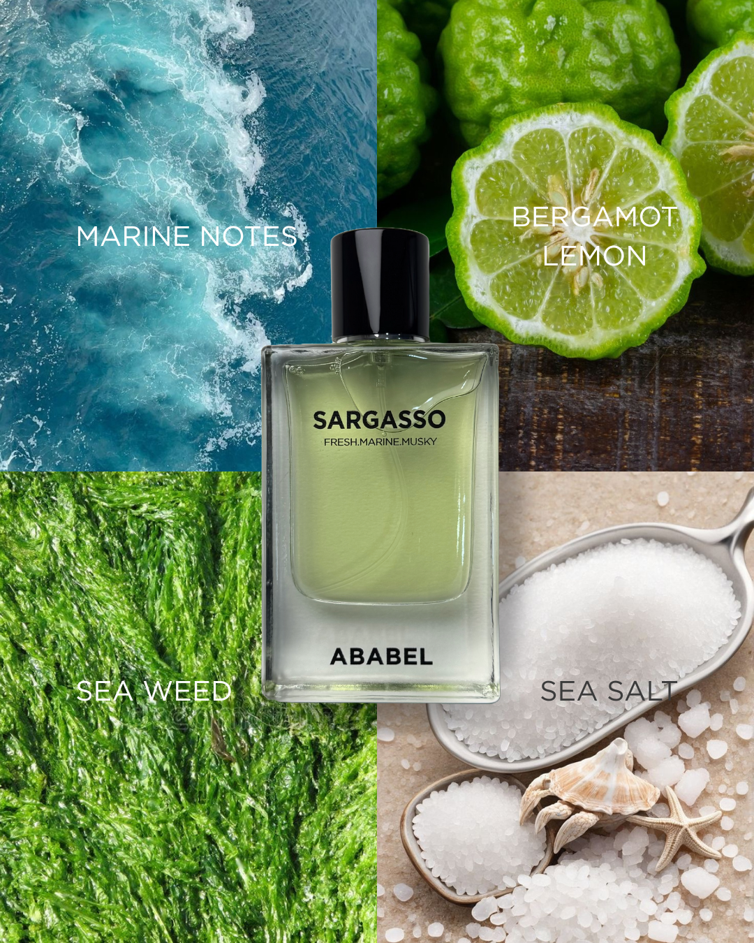 SARGASSO